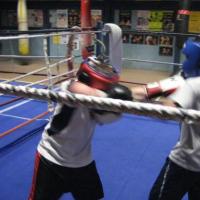 boxe educative