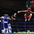 boxe anglaise gisors